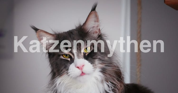 Katzenmythen